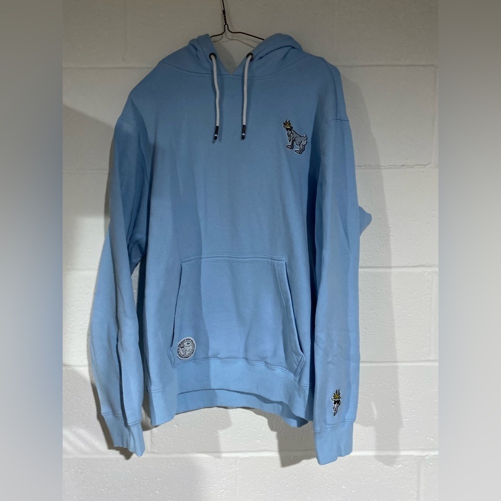 Sky Blue Hoodie with Embroidered Accents